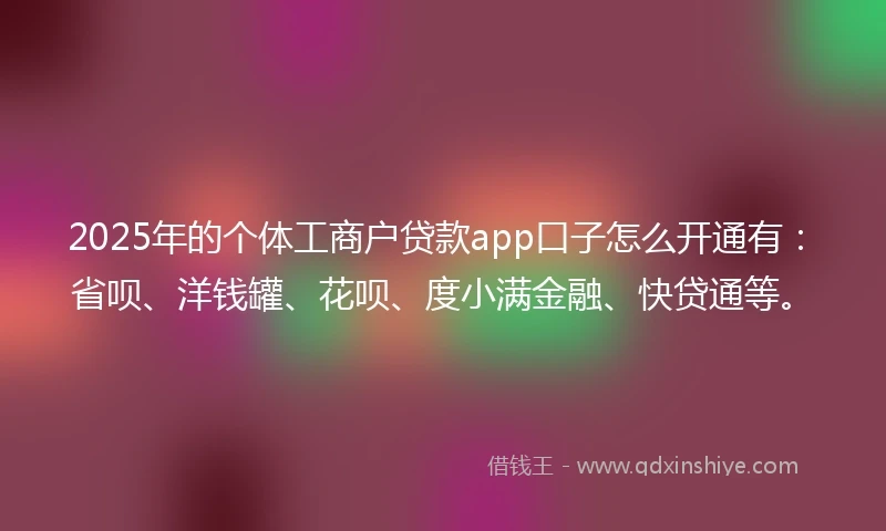 2025年的个体工商户贷款app口子怎么开通有：省呗、洋钱罐、花呗、度小满金融、快贷通等。