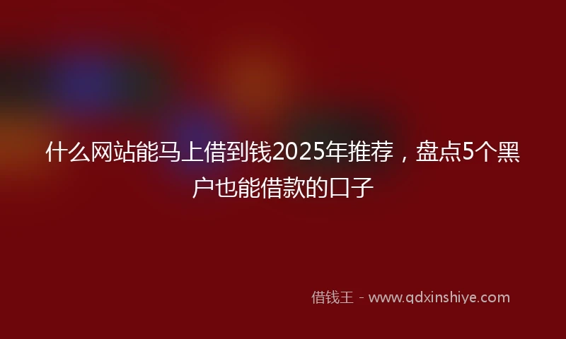 什么网站能马上借到钱2025年推荐，盘点5个黑户也能借款的口子
