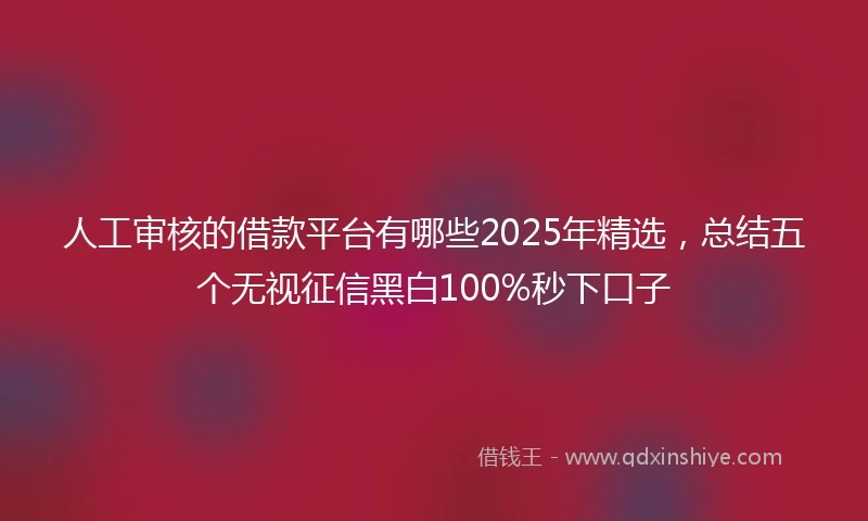 人工审核的借款平台有哪些2025年精选，总结五个无视征信黑白100%秒下口子