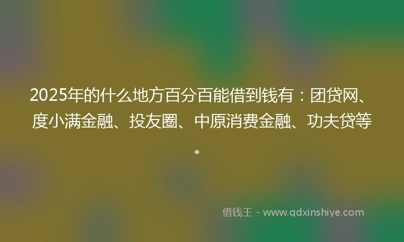 2025年的什么地方百分百能借到钱有：团贷网、度小满金融、投友圈、中原消费金融、功夫贷等。