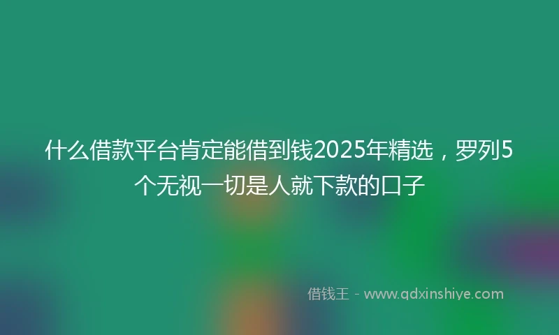 什么借款平台肯定能借到钱2025年精选，罗列5个无视一切是人就下款的口子
