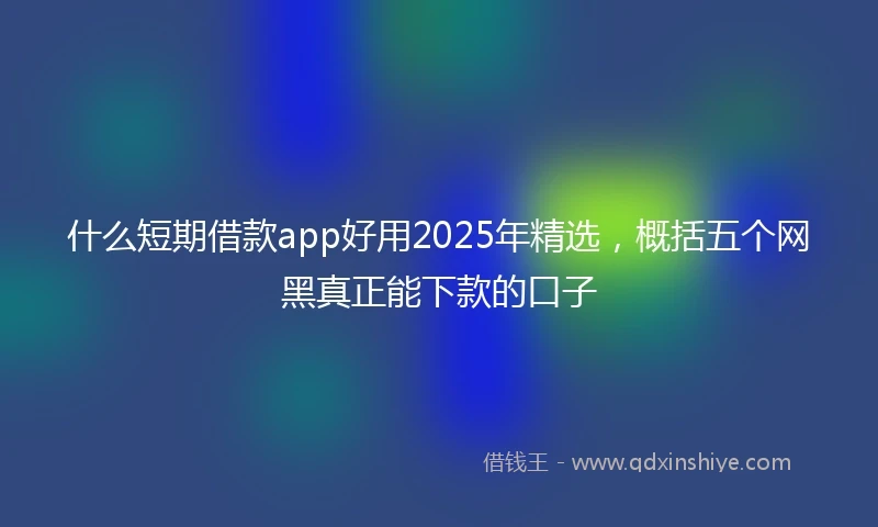 什么短期借款app好用2025年精选，概括五个网黑真正能下款的口子