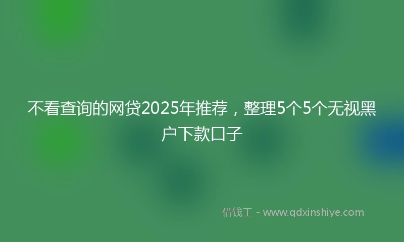 不看查询的网贷2025年推荐，整理5个5个无视黑户下款口子