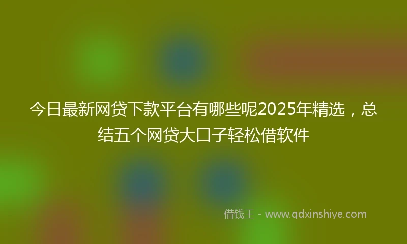 今日最新网贷下款平台有哪些呢2025年精选，总结五个网贷大口子轻松借软件