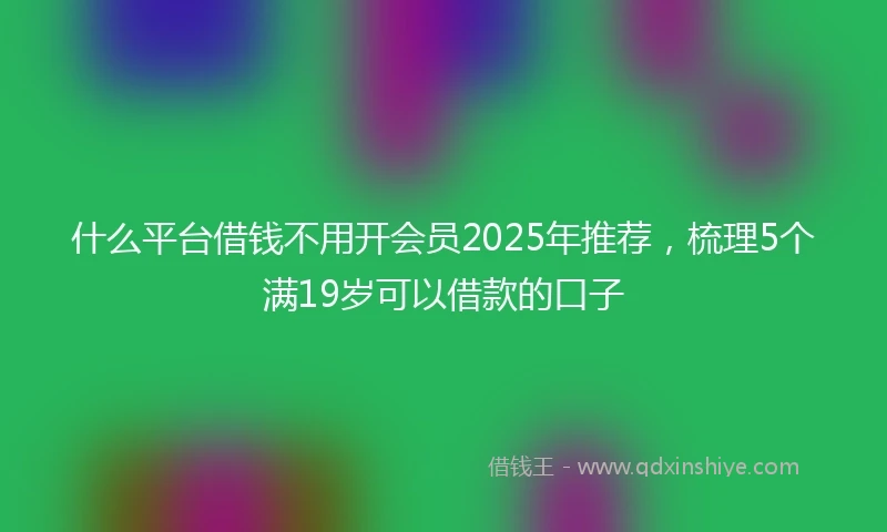 什么平台借钱不用开会员2025年推荐，梳理5个满19岁可以借款的口子