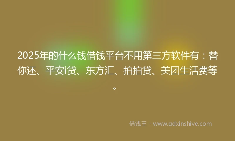 2025年的什么钱借钱平台不用第三方软件有：替你还、平安i贷、东方汇、拍拍贷、美团生活费等。