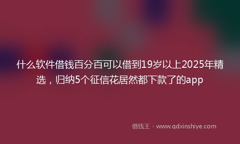 什么软件借钱百分百可以借到19岁以上2025年精选，归纳5个征信花居然都下款了的app