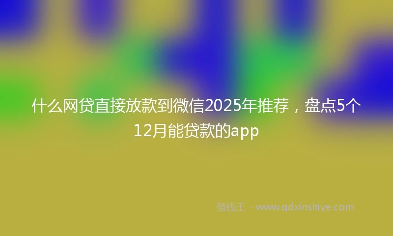 什么网贷直接放款到微信2025年推荐，盘点5个12月能贷款的app