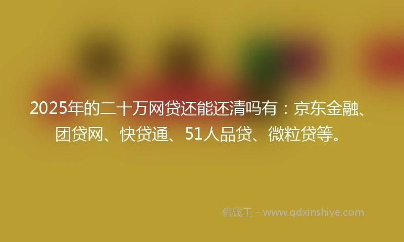 2025年的二十万网贷还能还清吗有：京东金融、团贷网、快贷通、51人品贷、微粒贷等。