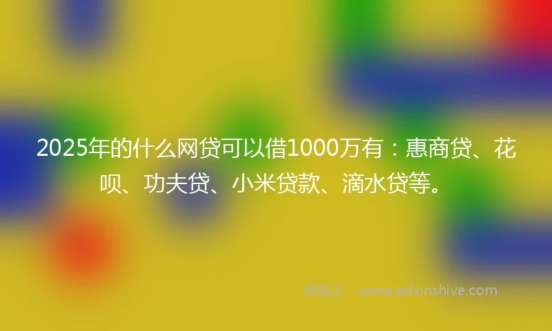2025年的什么网贷可以借1000万有：惠商贷、花呗、功夫贷、小米贷款、滴水贷等。