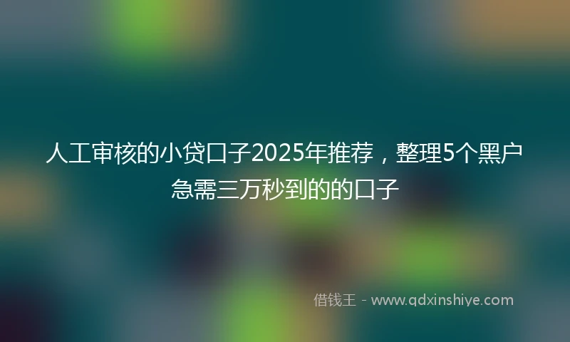 人工审核的小贷口子2025年推荐，整理5个黑户急需三万秒到的的口子