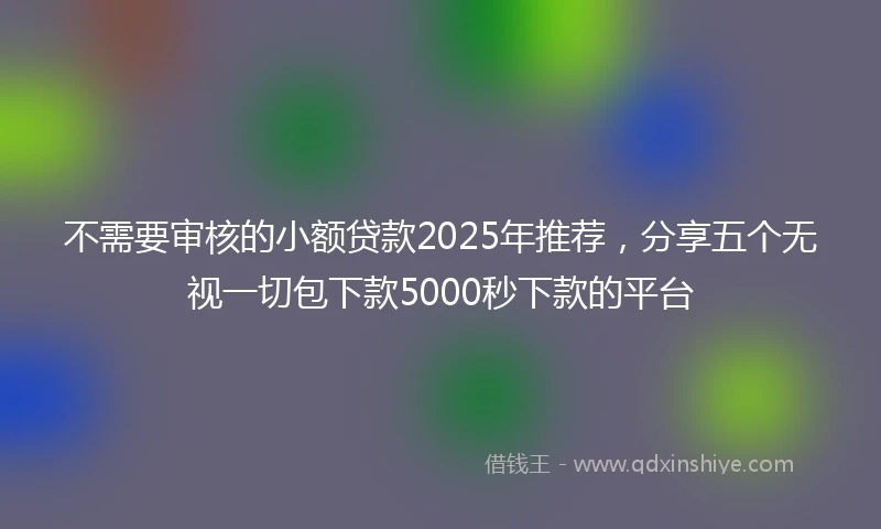 不需要审核的小额贷款2025年推荐，分享五个无视一切包下款5000秒下款的平台