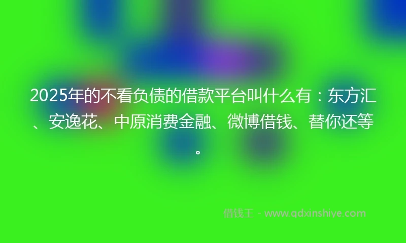 2025年的不看负债的借款平台叫什么有：东方汇、安逸花、中原消费金融、微博借钱、替你还等。