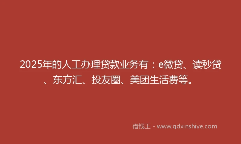 2025年的人工办理贷款业务有：e微贷、读秒贷、东方汇、投友圈、美团生活费等。