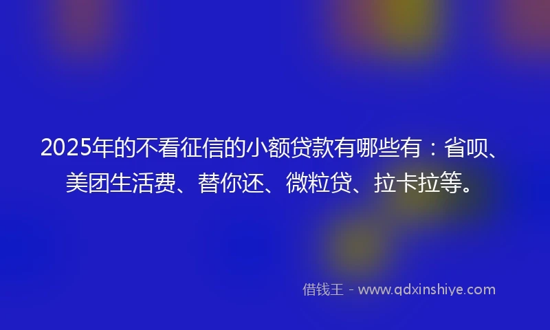 2025年的不看征信的小额贷款有哪些有：省呗、美团生活费、替你还、微粒贷、拉卡拉等。