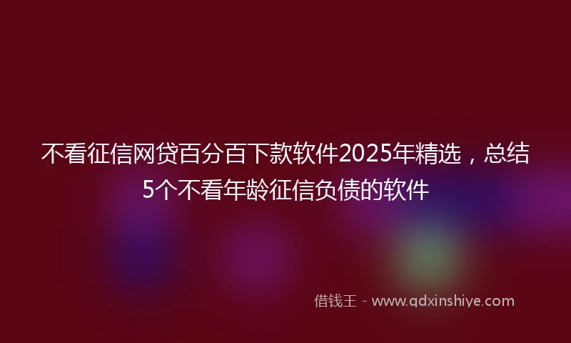 不看征信网贷百分百下款软件2025年精选，总结5个不看年龄征信负债的软件