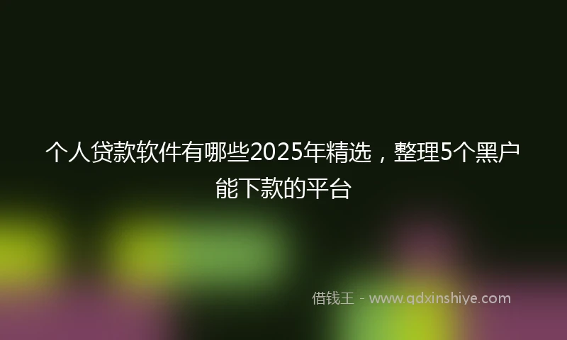 个人贷款软件有哪些2025年精选，整理5个黑户能下款的平台