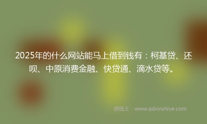 2025年的什么网站能马上借到钱有：柯基贷、还呗、中原消费金融、快贷通、滴水贷等。