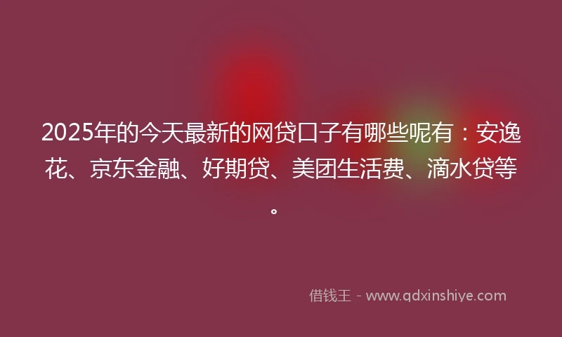 2025年的今天最新的网贷口子有哪些呢有：安逸花、京东金融、好期贷、美团生活费、滴水贷等。