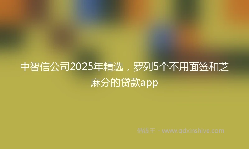 中智信公司2025年精选，罗列5个不用面签和芝麻分的贷款app