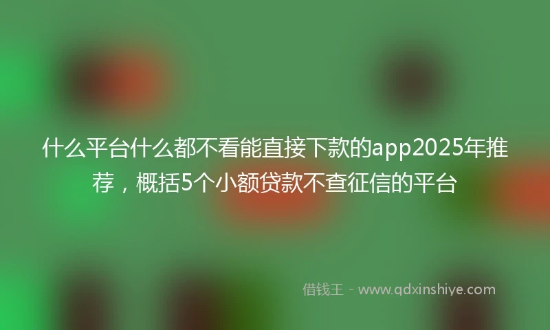 什么平台什么都不看能直接下款的app2025年推荐，概括5个小额贷款不查征信的平台