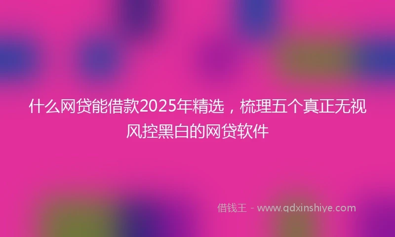 什么网贷能借款2025年精选，梳理五个真正无视风控黑白的网贷软件