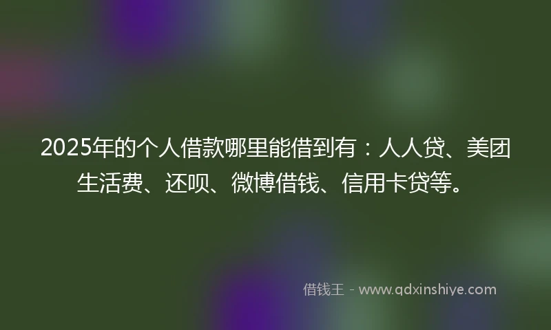 2025年的个人借款哪里能借到有：人人贷、美团生活费、还呗、微博借钱、信用卡贷等。