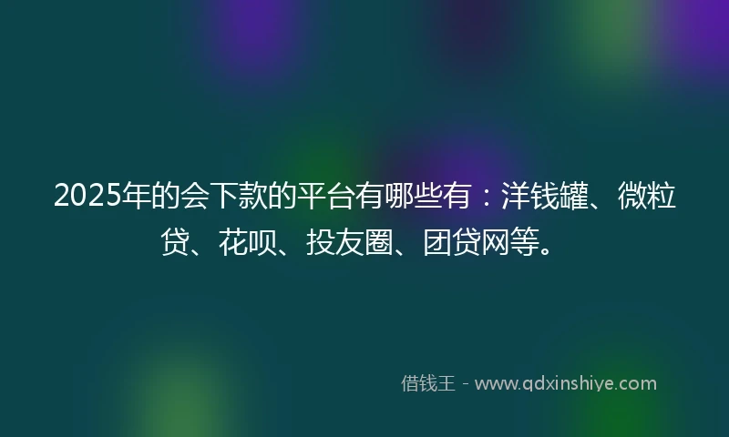 2025年的会下款的平台有哪些有：洋钱罐、微粒贷、花呗、投友圈、团贷网等。