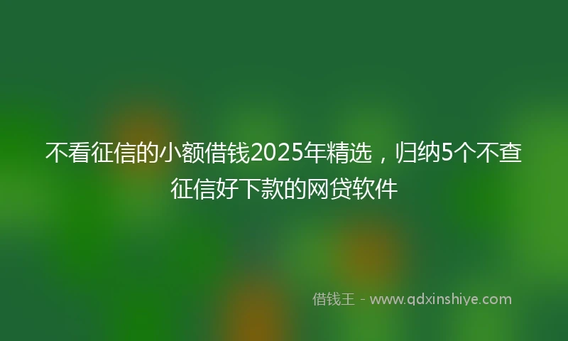 不看征信的小额借钱2025年精选，归纳5个不查征信好下款的网贷软件