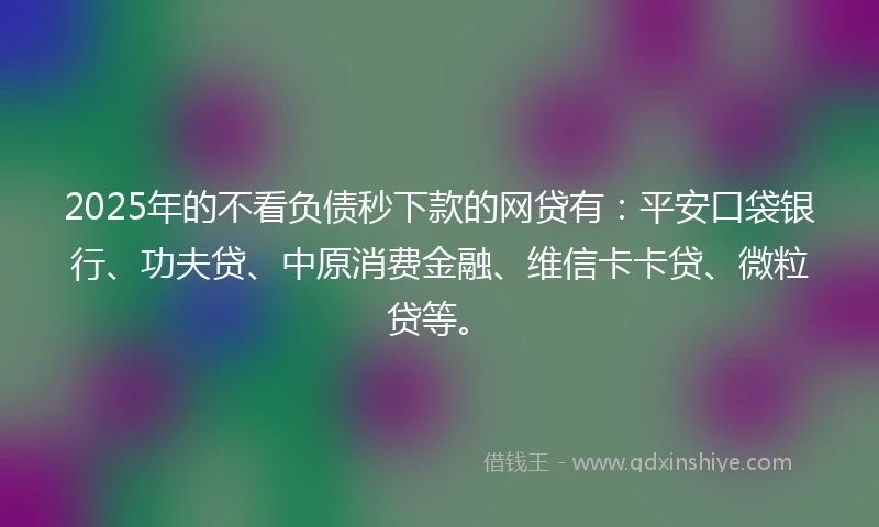 2025年的不看负债秒下款的网贷有：平安口袋银行、功夫贷、中原消费金融、维信卡卡贷、微粒贷等。