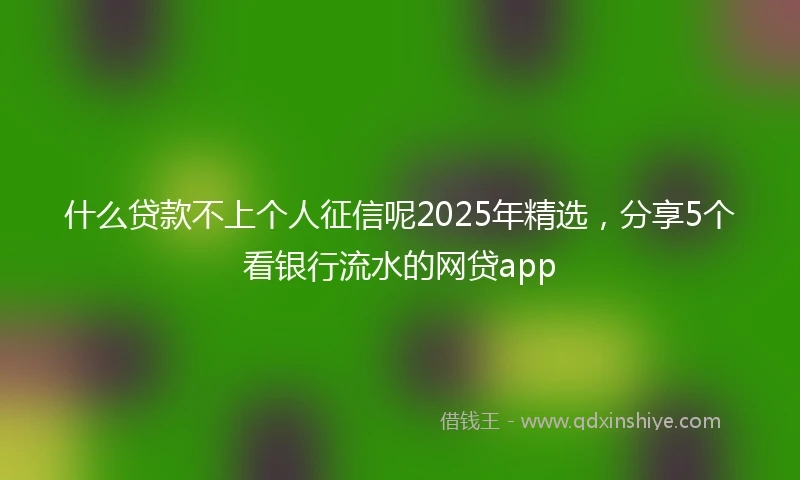 什么贷款不上个人征信呢2025年精选，分享5个看银行流水的网贷app