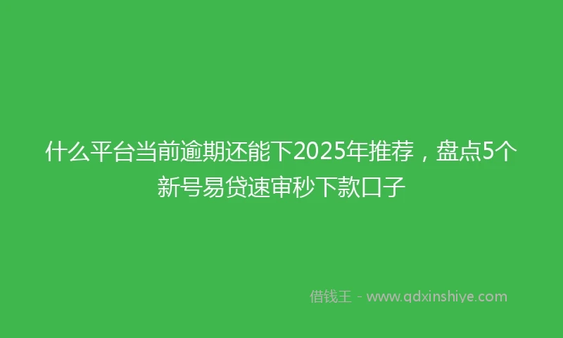 什么平台当前逾期还能下2025年推荐，盘点5个新号易贷速审秒下款口子