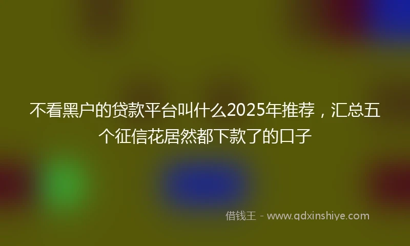 不看黑户的贷款平台叫什么2025年推荐，汇总五个征信花居然都下款了的口子