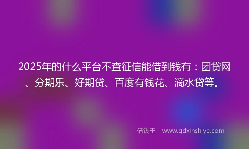 2025年的什么平台不查征信能借到钱有：团贷网、分期乐、好期贷、百度有钱花、滴水贷等。