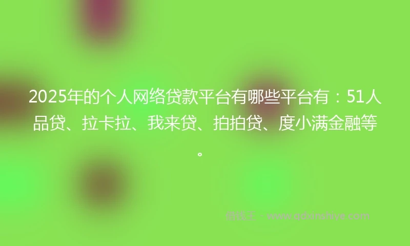2025年的个人网络贷款平台有哪些平台有：51人品贷、拉卡拉、我来贷、拍拍贷、度小满金融等。