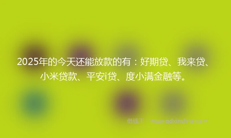 2025年的今天还能放款的有：好期贷、我来贷、小米贷款、平安i贷、度小满金融等。