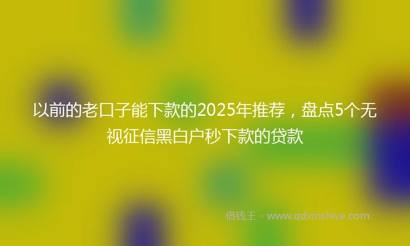 以前的老口子能下款的2025年推荐，盘点5个无视征信黑白户秒下款的贷款