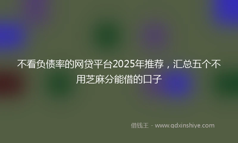 不看负债率的网贷平台2025年推荐，汇总五个不用芝麻分能借的口子