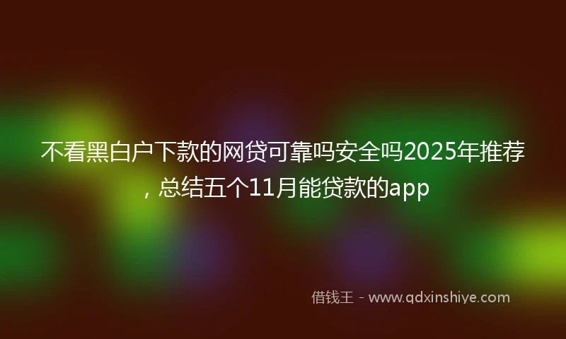 不看黑白户下款的网贷可靠吗安全吗2025年推荐，总结五个11月能贷款的app