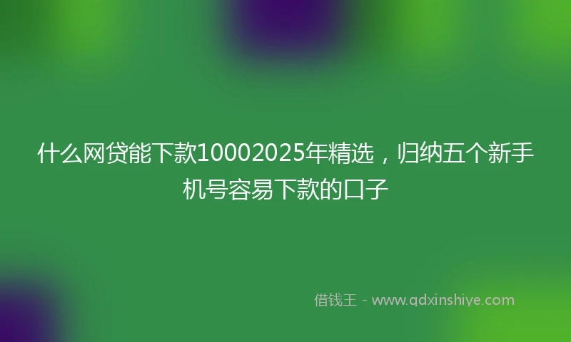 什么网贷能下款10002025年精选，归纳五个新手机号容易下款的口子