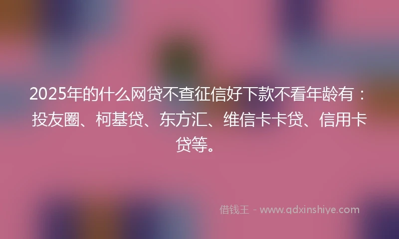 2025年的什么网贷不查征信好下款不看年龄有：投友圈、柯基贷、东方汇、维信卡卡贷、信用卡贷等。