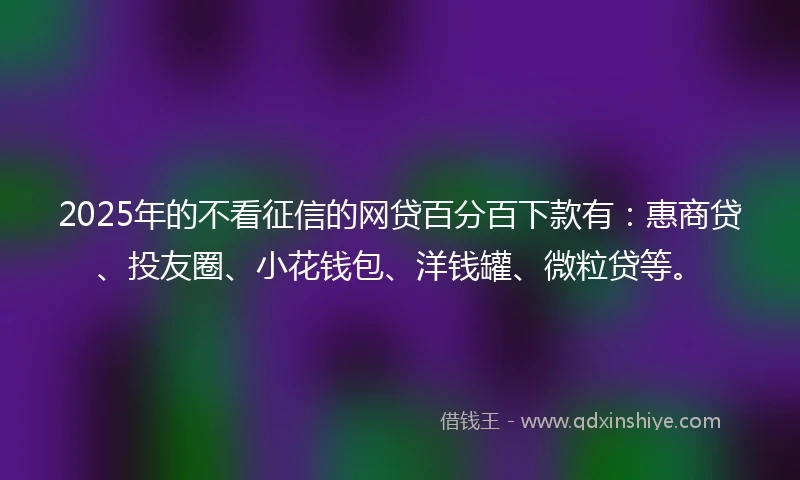 2025年的不看征信的网贷百分百下款有：惠商贷、投友圈、小花钱包、洋钱罐、微粒贷等。