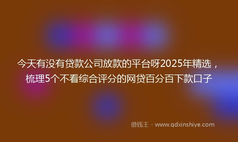 今天有没有贷款公司放款的平台呀2025年精选，梳理5个不看综合评分的网贷百分百下款口子