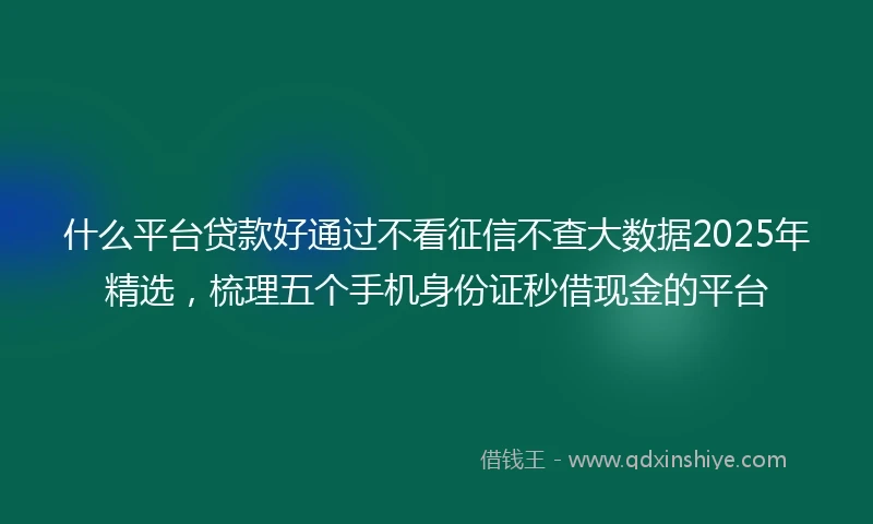 什么平台贷款好通过不看征信不查大数据2025年精选，梳理五个手机身份证秒借现金的平台