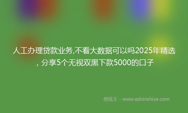 人工办理贷款业务,不看大数据可以吗2025年精选，分享5个无视双黑下款5000的口子
