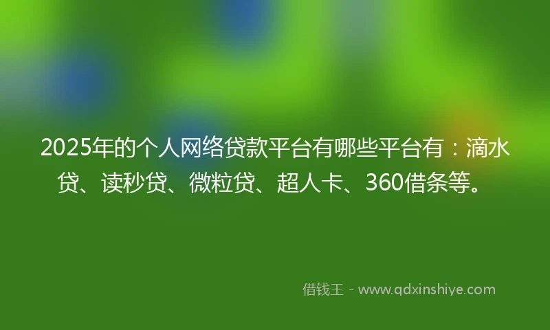 2025年的个人网络贷款平台有哪些平台有：滴水贷、读秒贷、微粒贷、超人卡、360借条等。