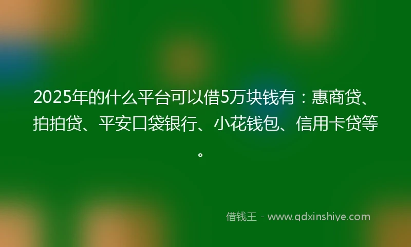 2025年的什么平台可以借5万块钱有：惠商贷、拍拍贷、平安口袋银行、小花钱包、信用卡贷等。