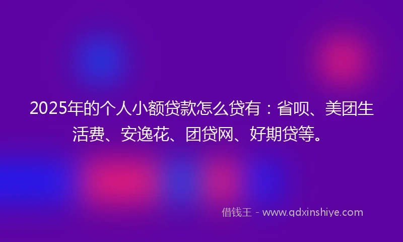2025年的个人小额贷款怎么贷有：省呗、美团生活费、安逸花、团贷网、好期贷等。
