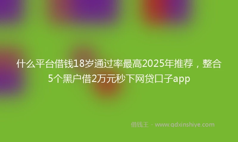 什么平台借钱18岁通过率最高2025年推荐，整合5个黑户借2万元秒下网贷口子app