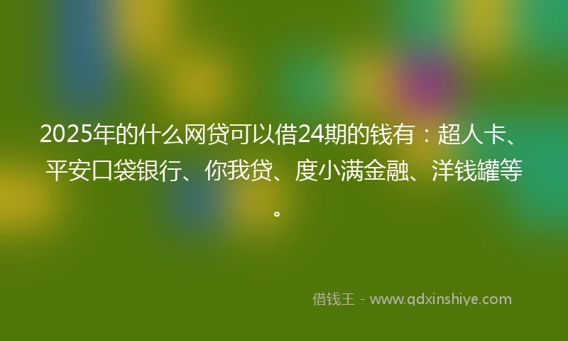 2025年的什么网贷可以借24期的钱有：超人卡、平安口袋银行、你我贷、度小满金融、洋钱罐等。
